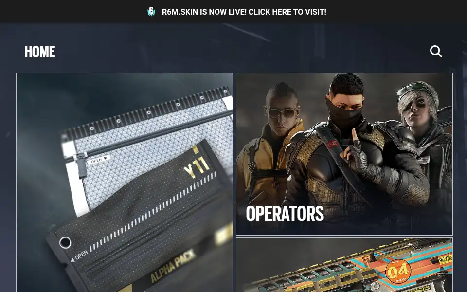 Screenshot of r6s.skin