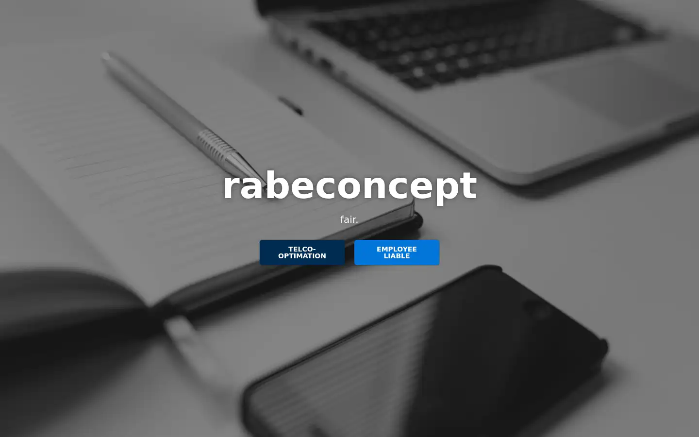 Screenshot of rabeconcept.de