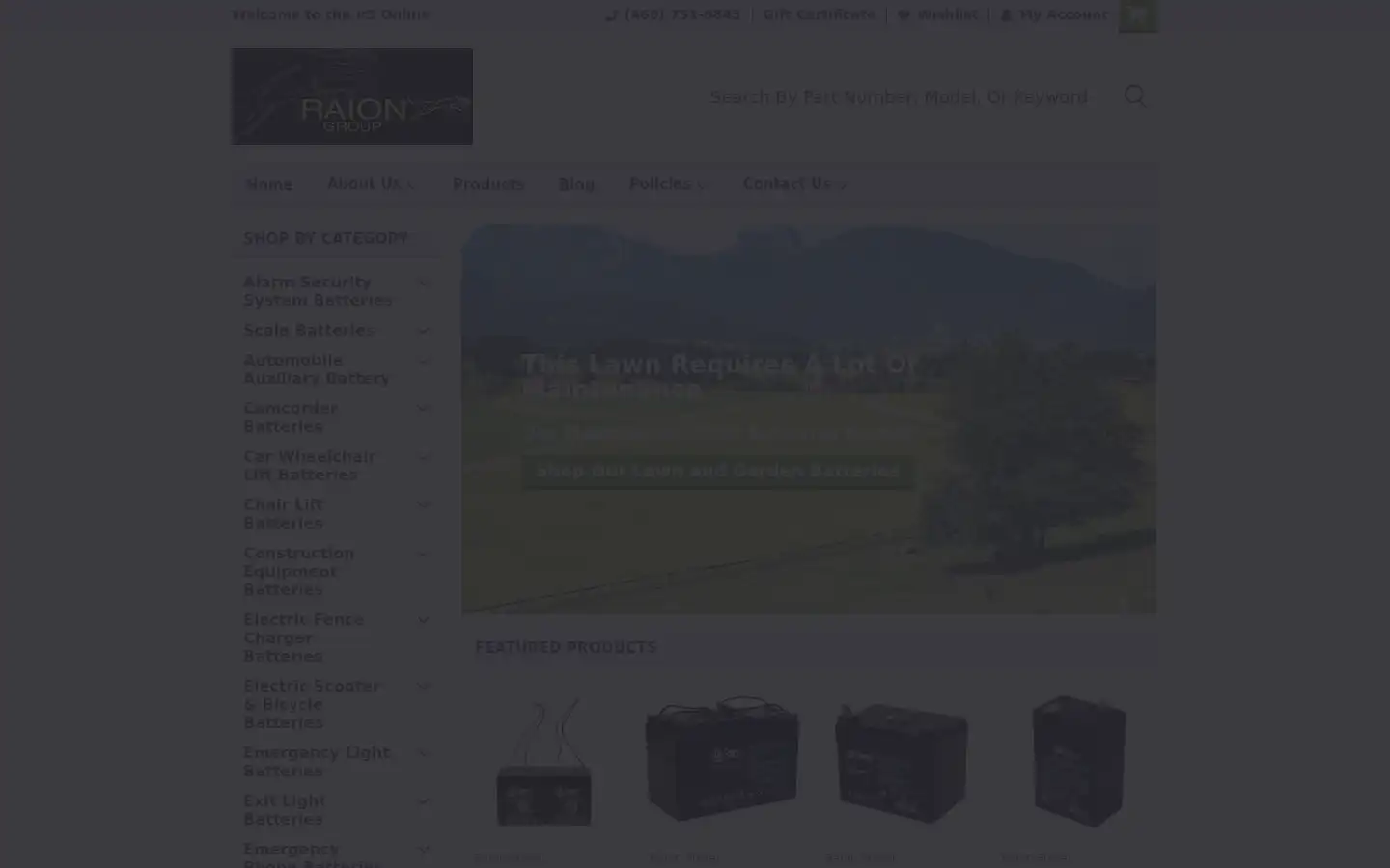 Screenshot of raiongroup.com