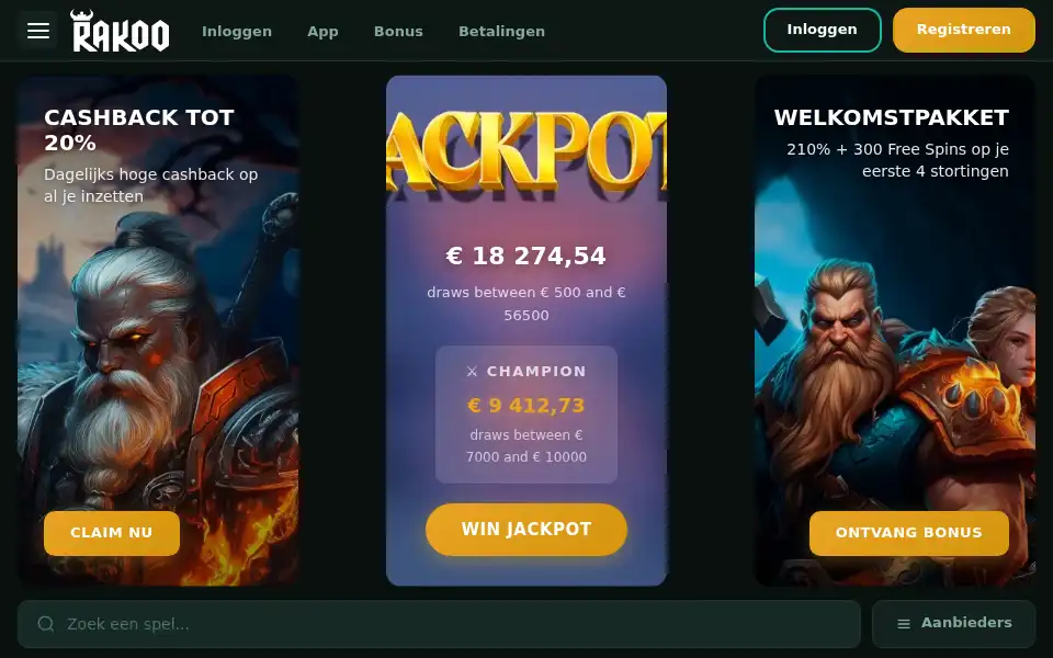 Screenshot of rakooo.co.nl