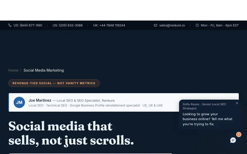 Screenshot of rankure.io