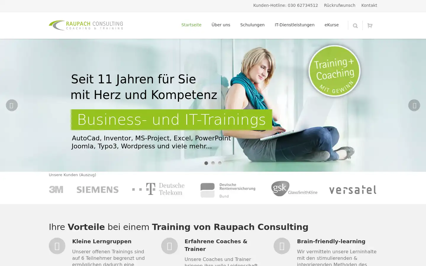 Screenshot of raupach.biz