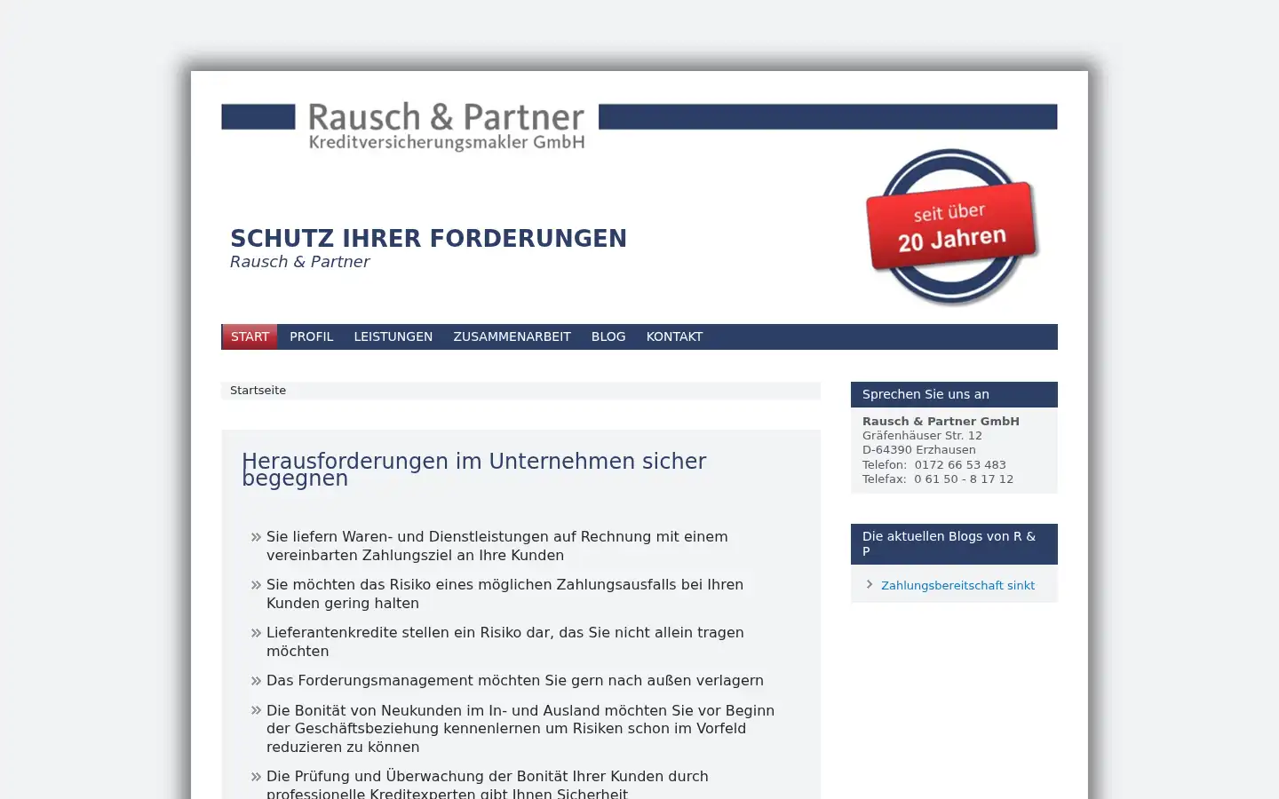 Screenshot of rausch-partner.de
