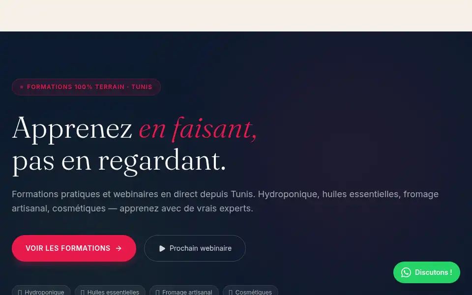Screenshot of rayhanet.com