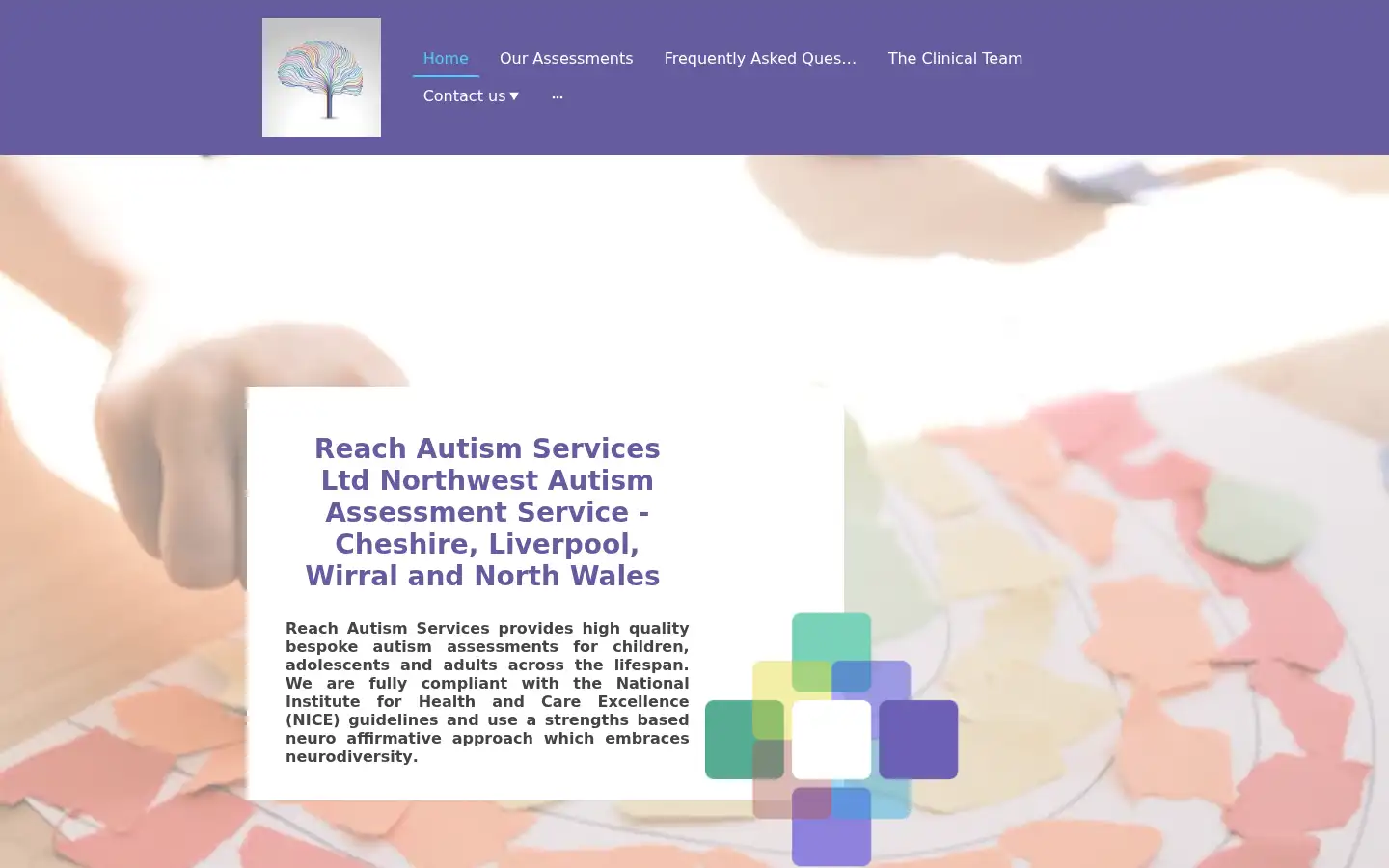 Screenshot of reachautismservices.co.uk