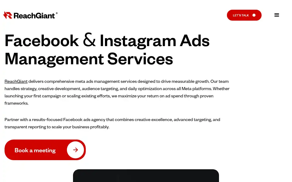Screenshot of reachgiant.com