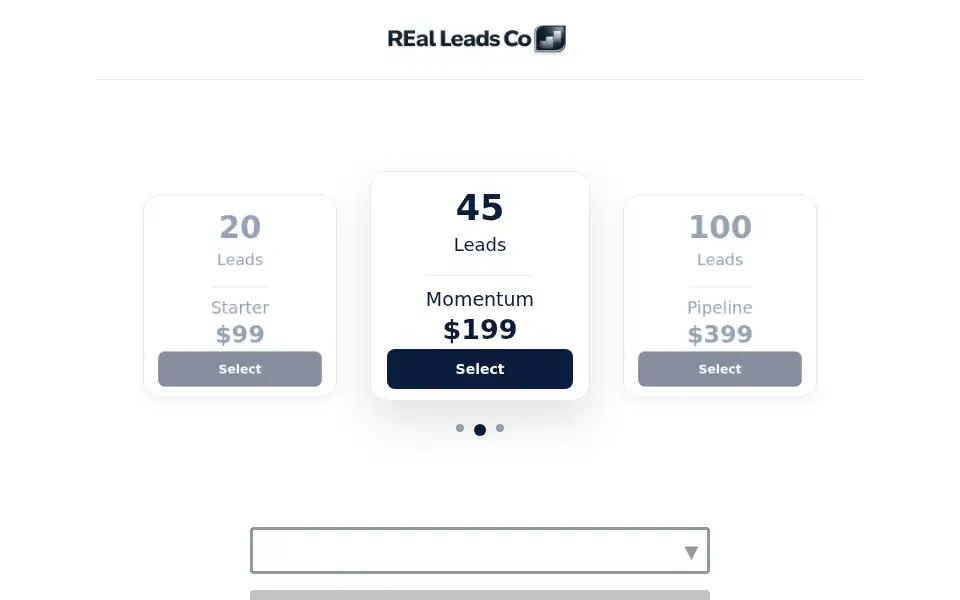 Screenshot of realleadsco.com