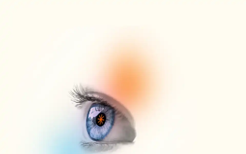 Screenshot of reblmedia.nl