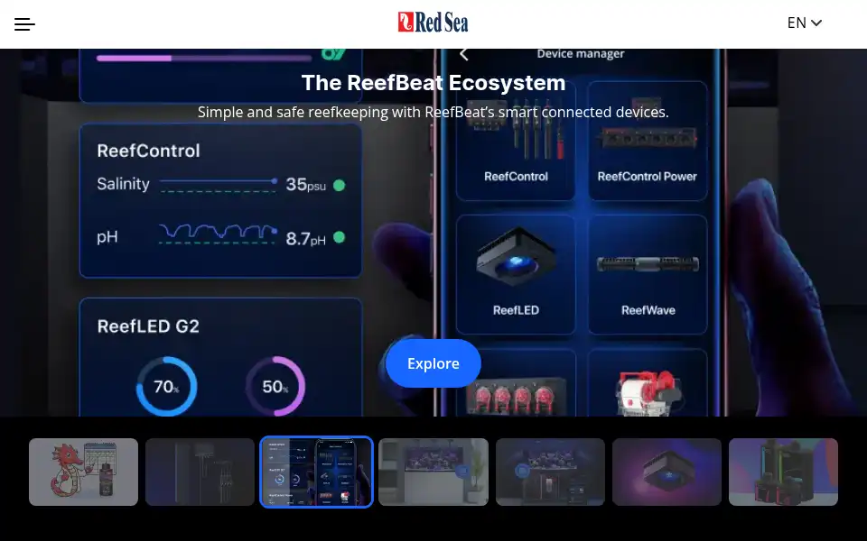 Screenshot of redseafish.com