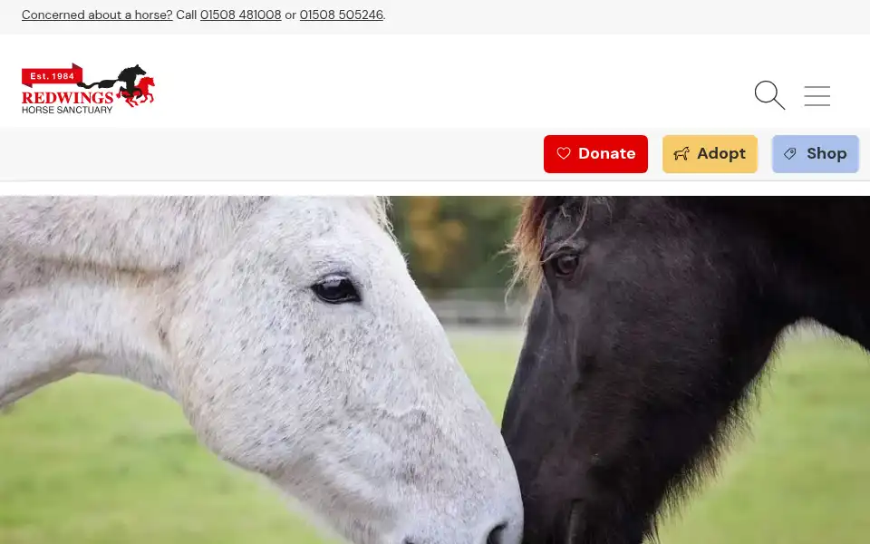 Screenshot of redwings.org.uk