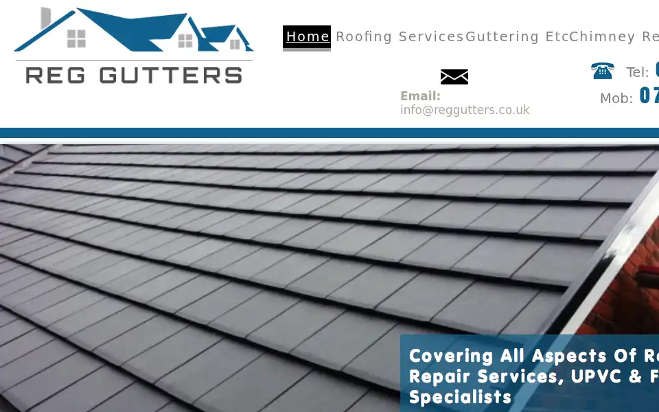 Screenshot of reggutters.co.uk