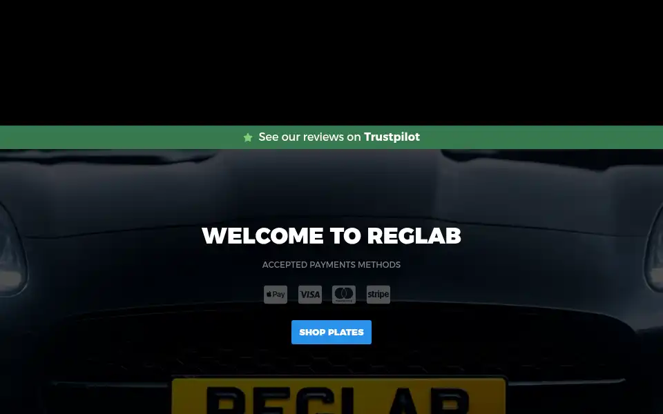 Screenshot of reglab.co.uk