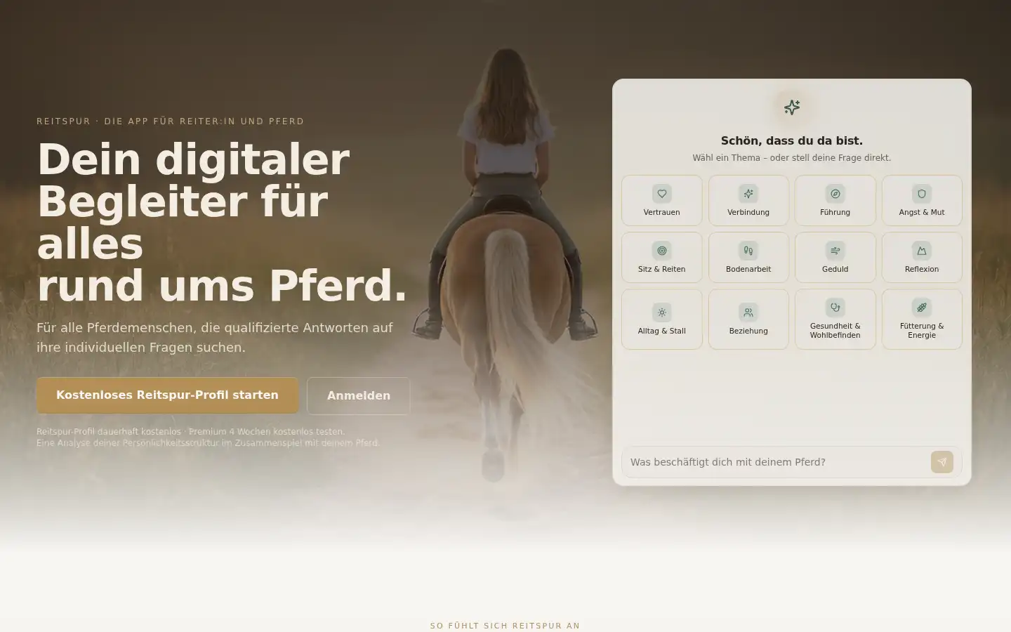 Screenshot of reitspur.de