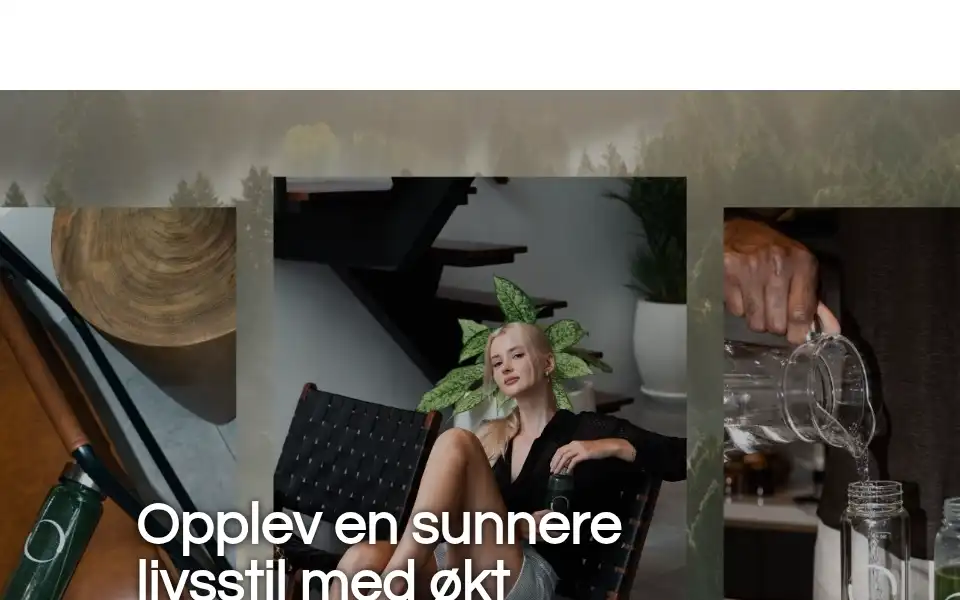 Screenshot of renewence.com