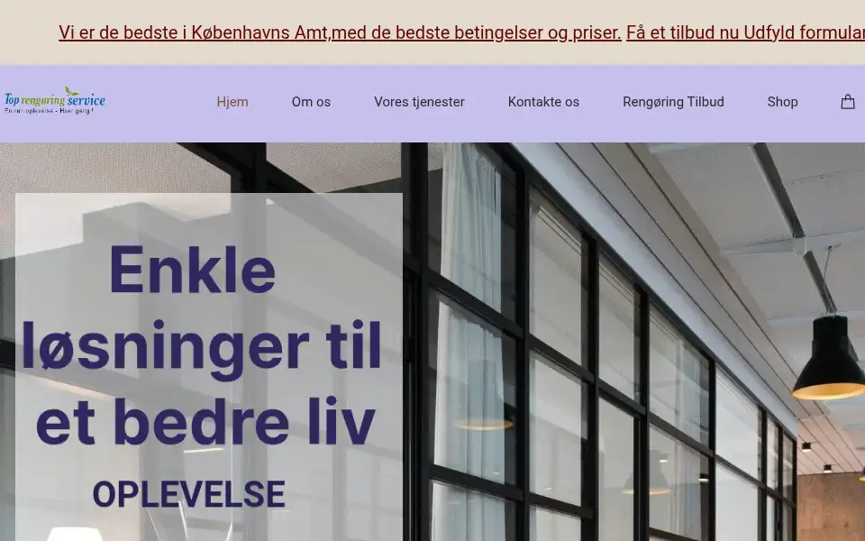 Screenshot of rengoring-service.dk