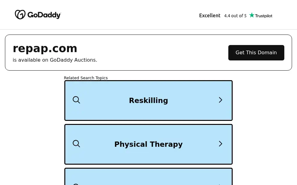 Screenshot of repap.com