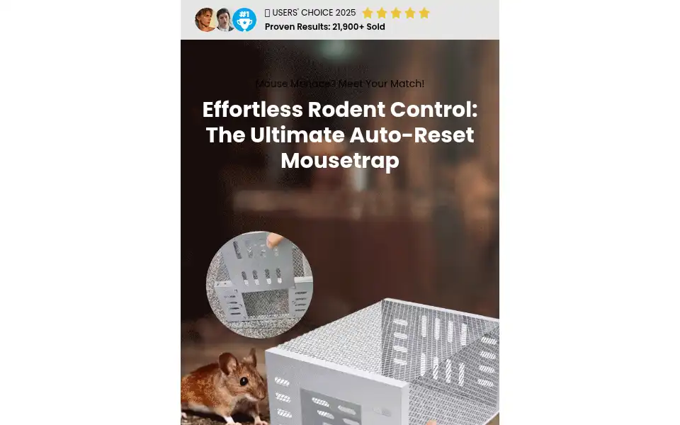 Screenshot of replacewide.com