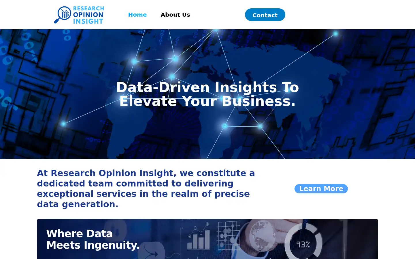 Screenshot of researchopinioninsight.com