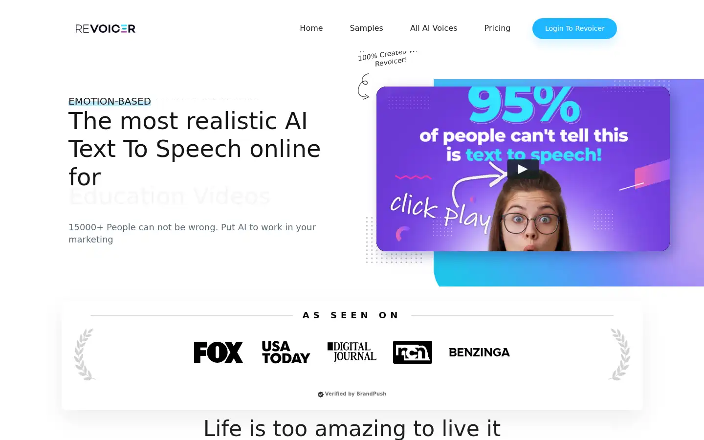 Screenshot of revoicer.com