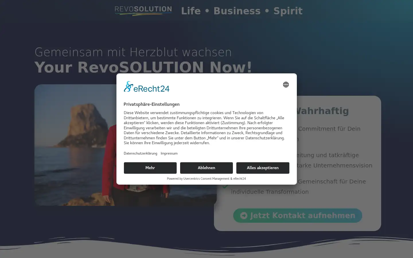 Screenshot of revosolution.de