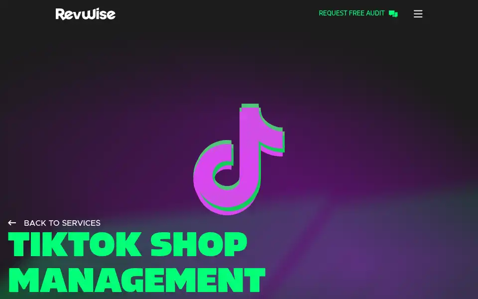 Screenshot of revwise.com