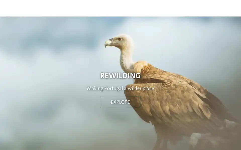Screenshot of rewilding-portugal.com