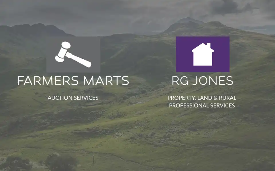 Screenshot of rgjones-property.co.uk
