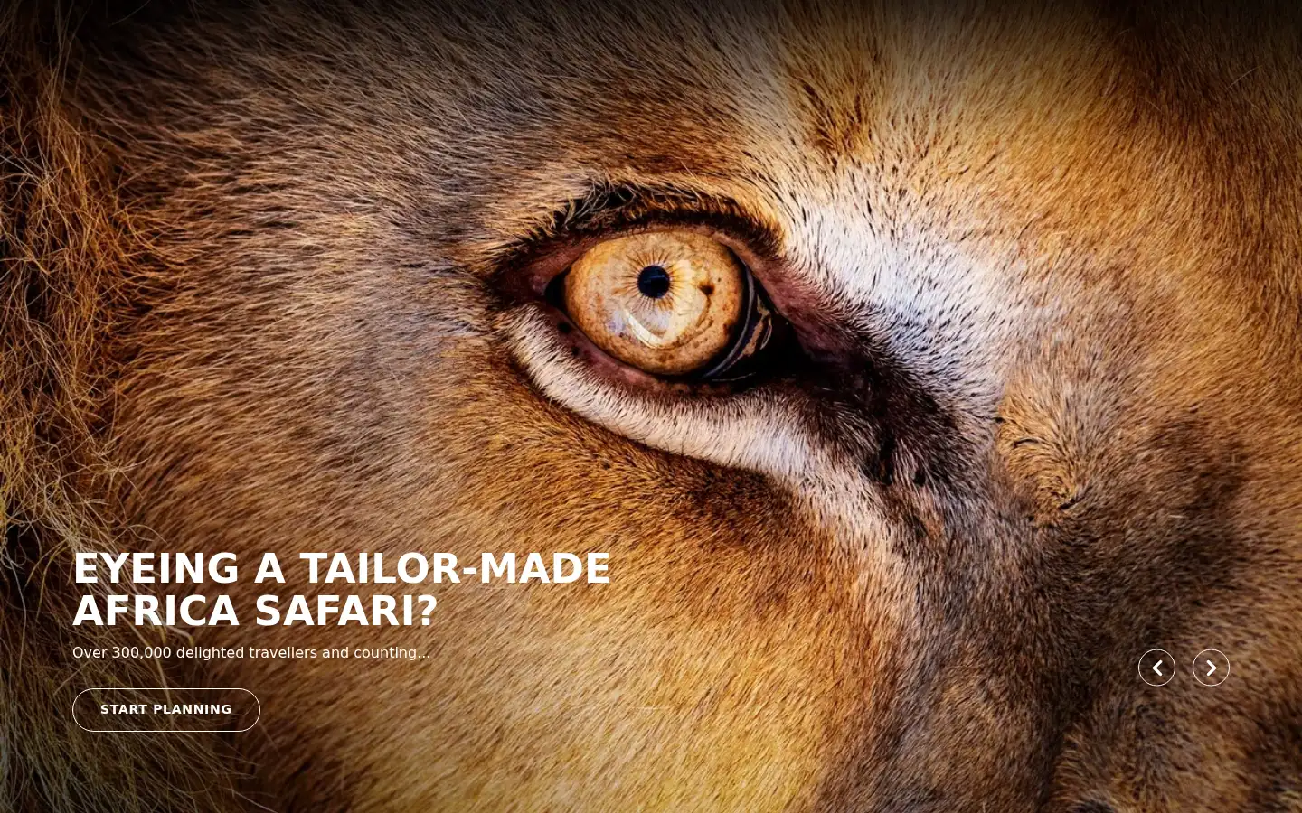 Screenshot of rhinoafrica.com