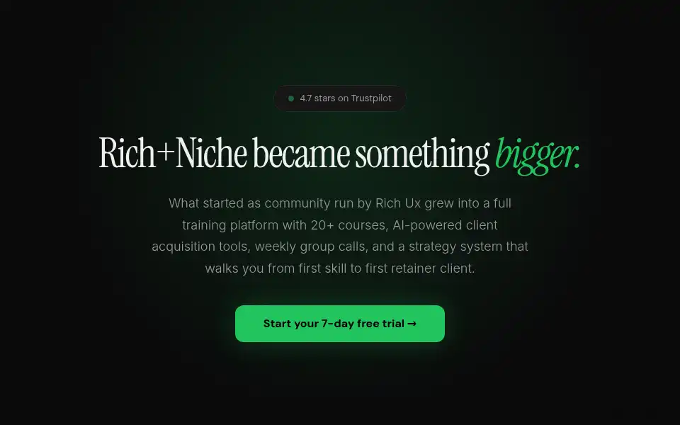 Screenshot of richandniche.com