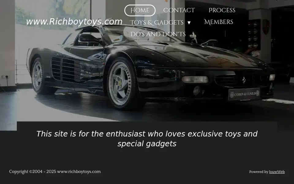 Screenshot of richboytoys.com