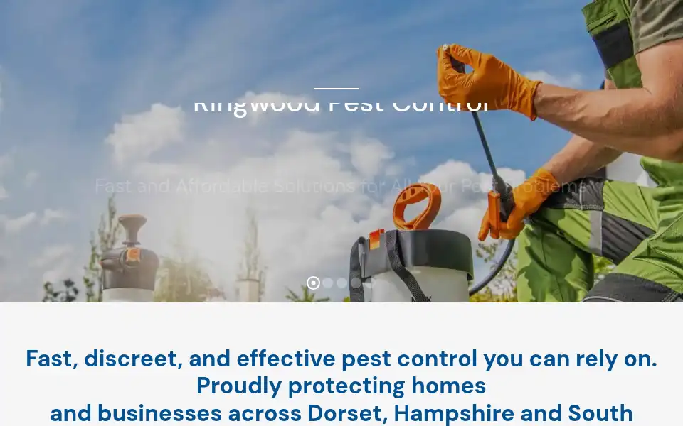 Screenshot of ringwoodpestcontrol.com