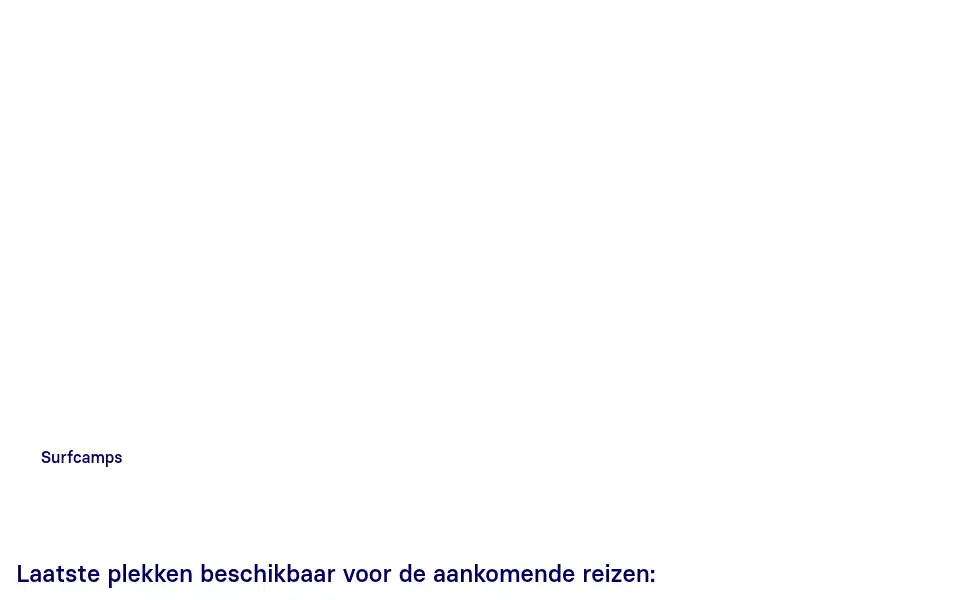 Screenshot of ripstar.nl