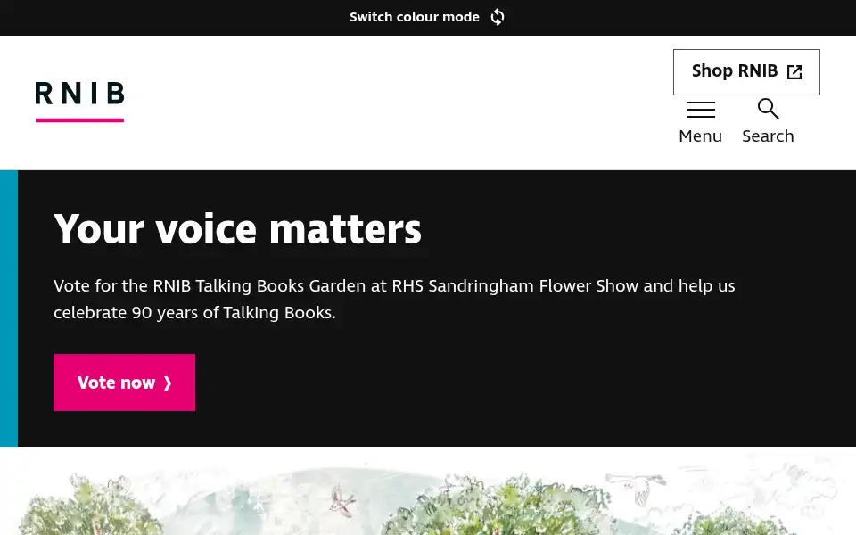 Screenshot of rnib.org.uk