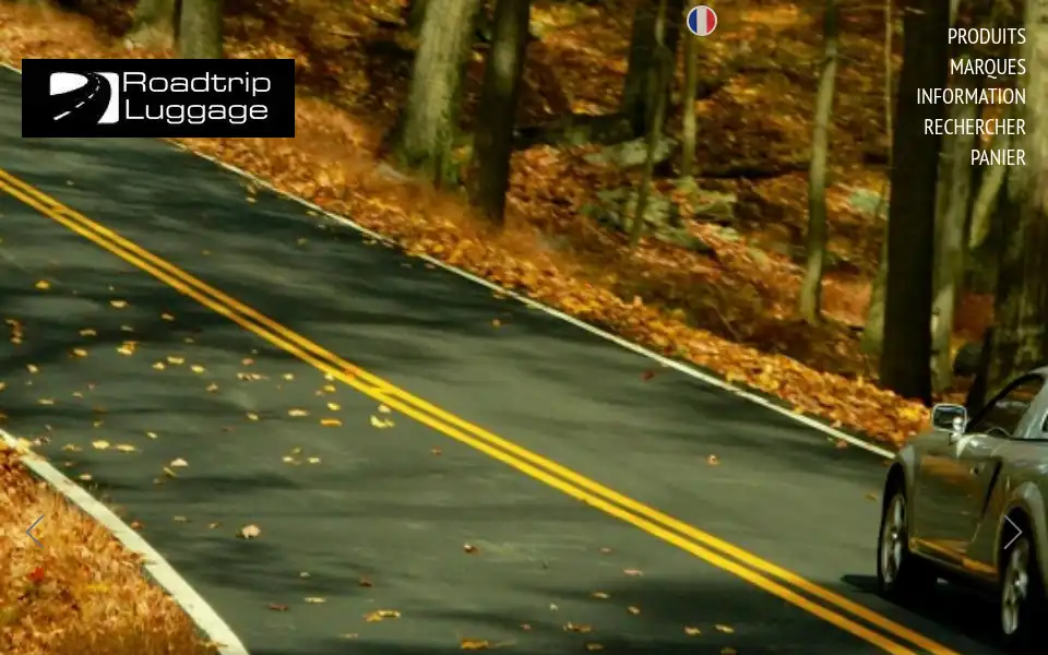 Screenshot of roadtripluggage.com