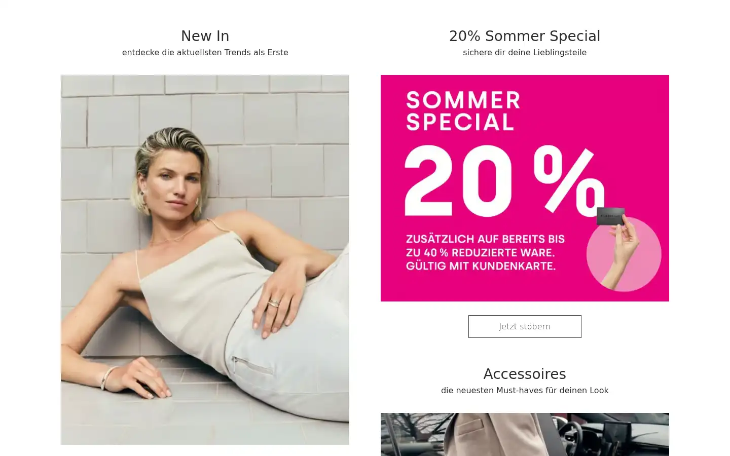 Screenshot of robert-ley.de