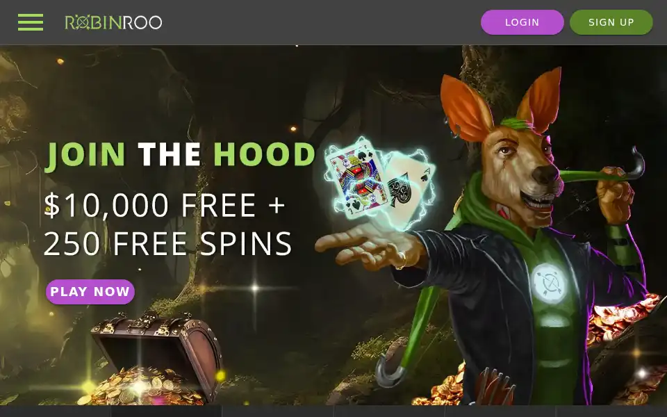 Screenshot of robinroo.co
