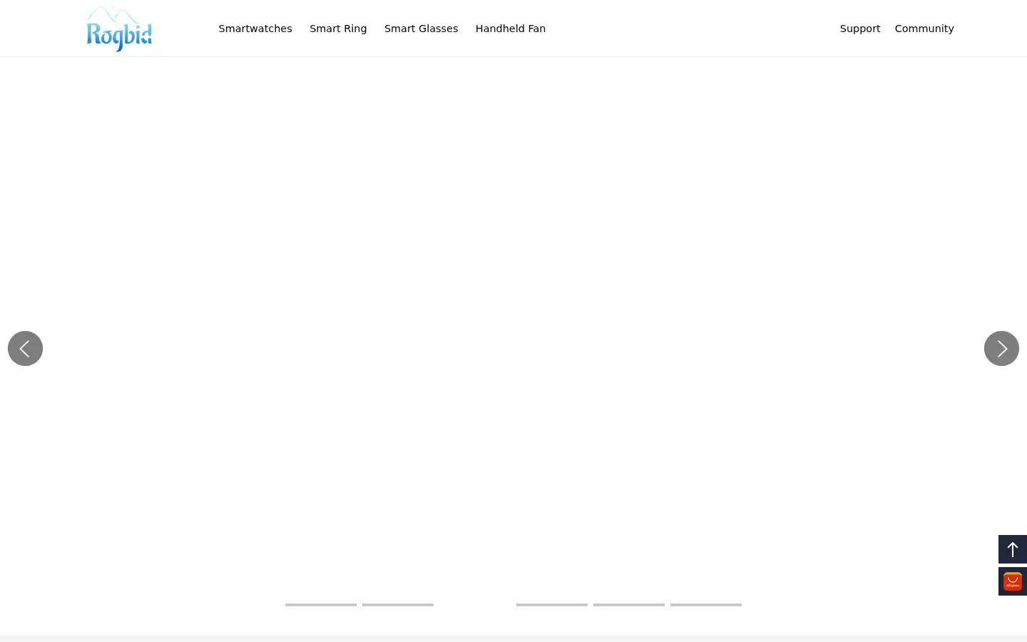 Screenshot of rogbid.com