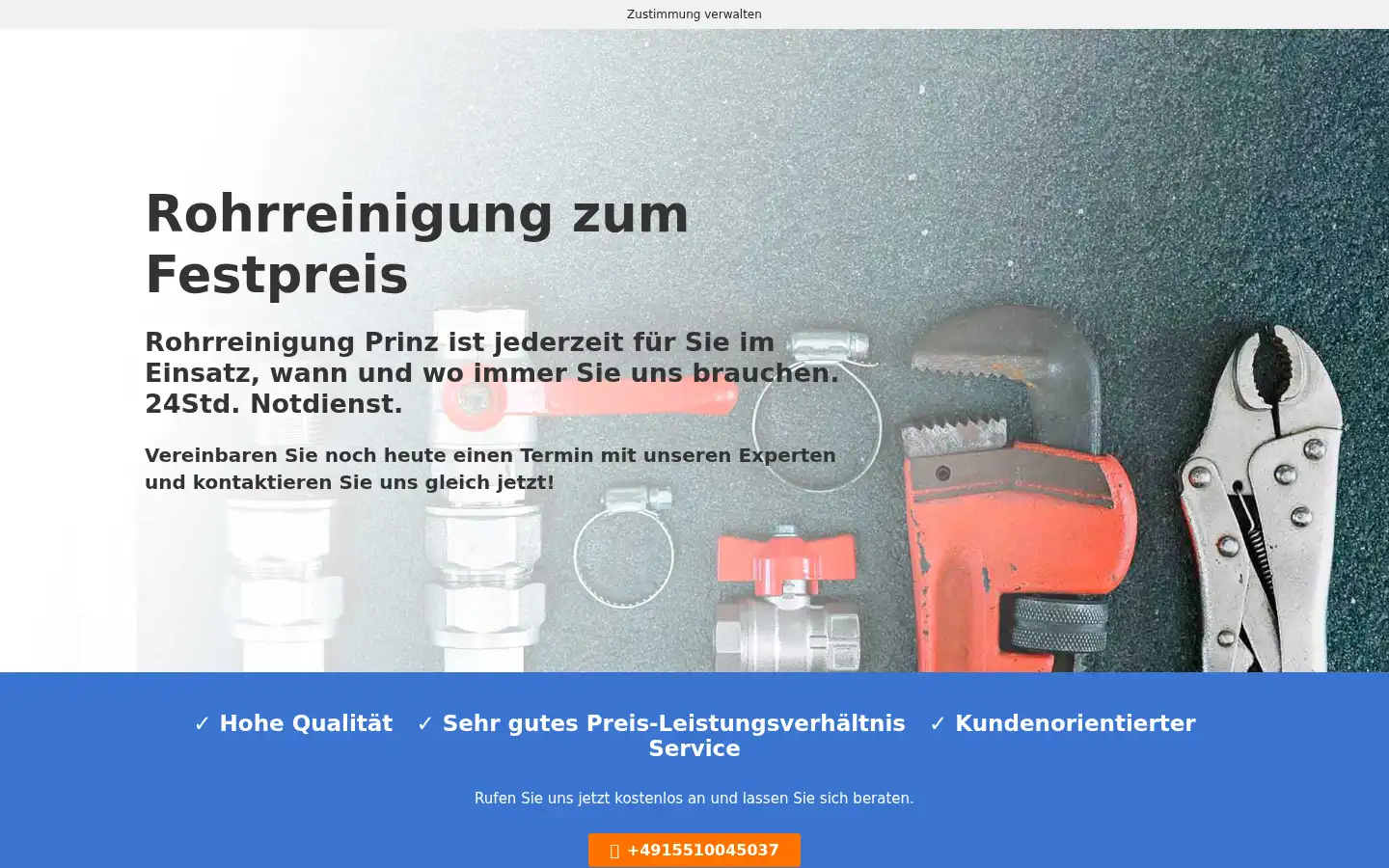 Screenshot of rohrreinigung-prinz.de