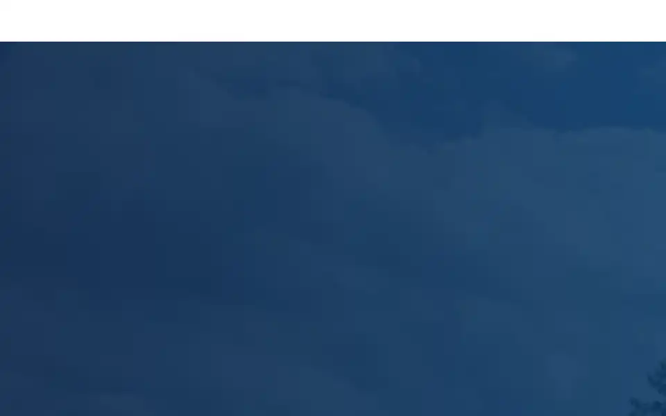 Screenshot of romanoford.com