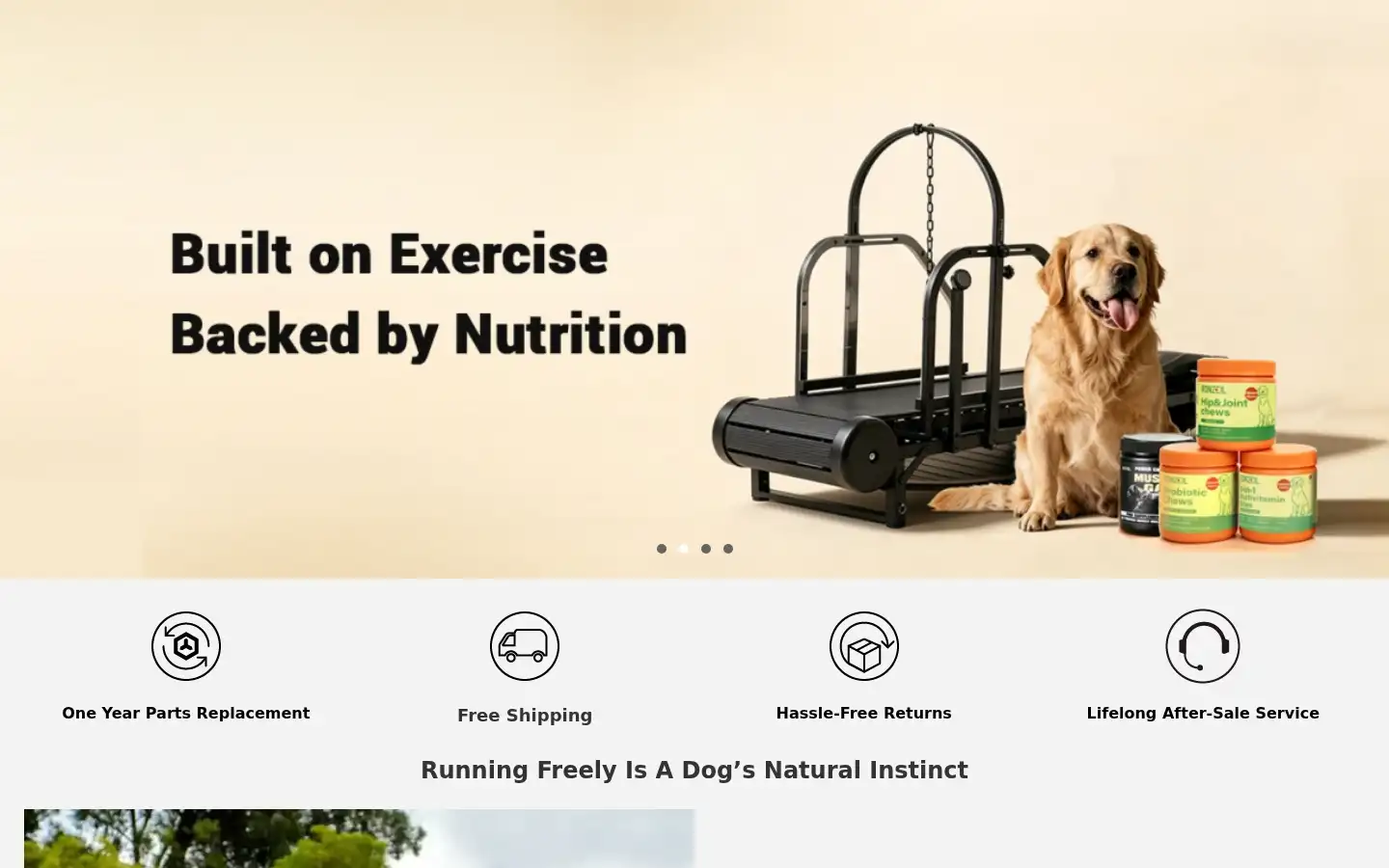 Screenshot of ronzeil.com