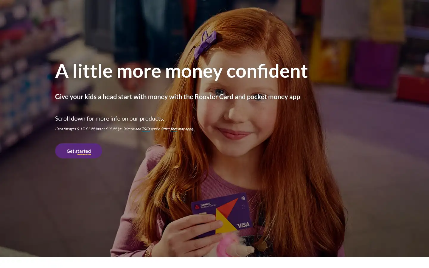 Screenshot of roostermoney.com