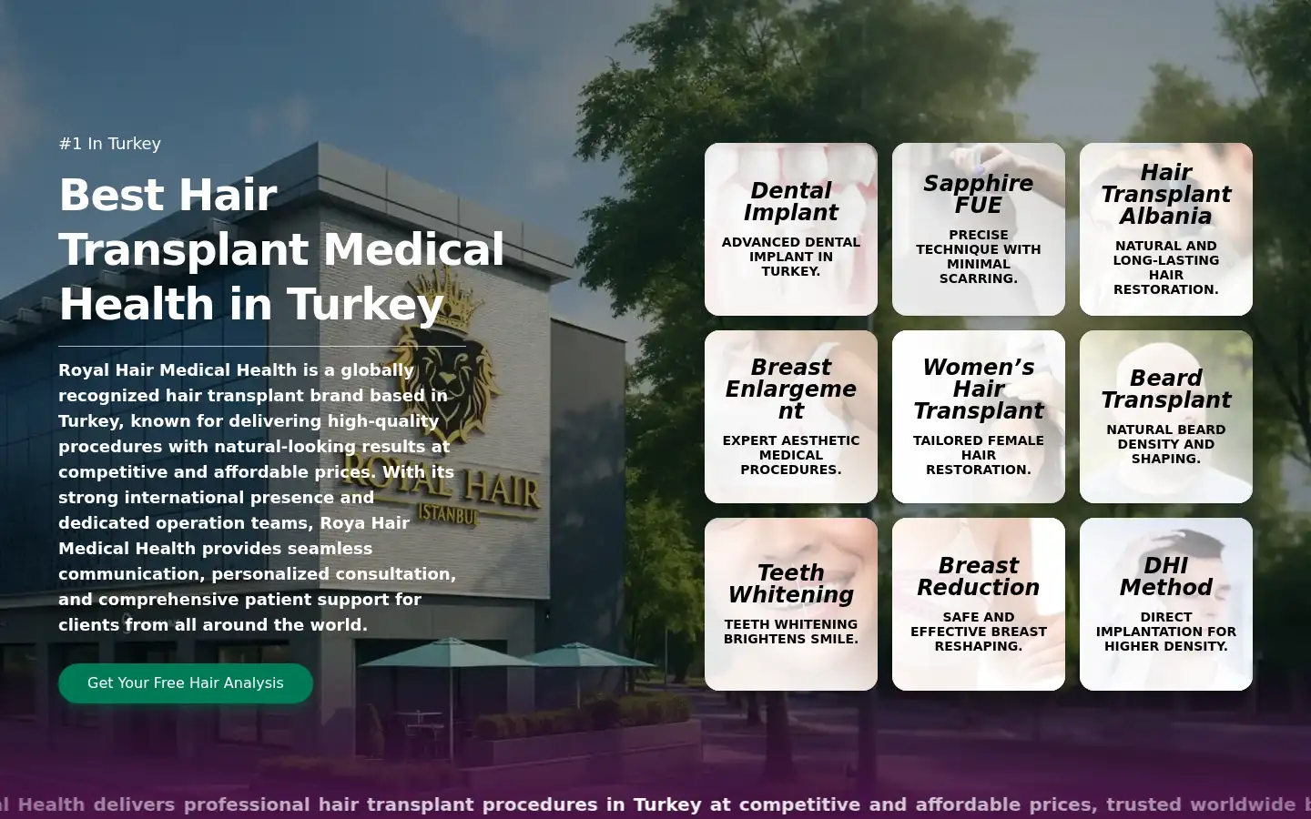 Screenshot of royalhairistanbul.com
