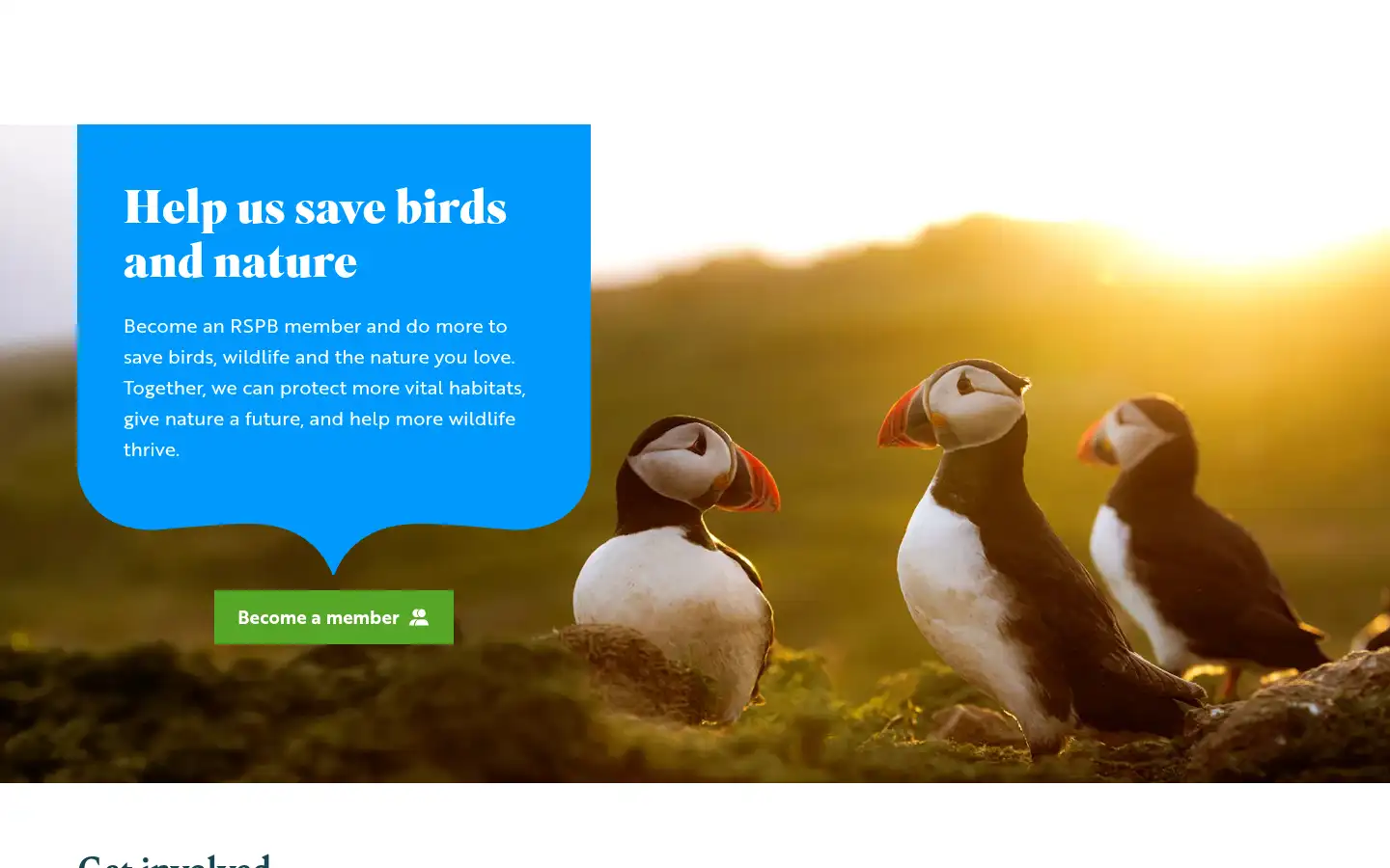 Screenshot of rspb.org.uk