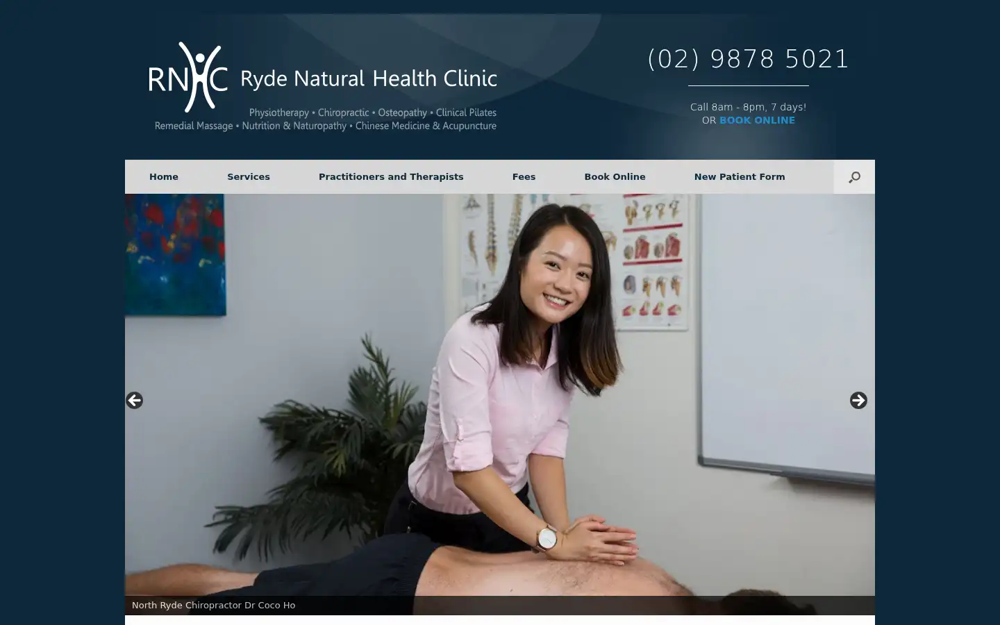 Screenshot of rydenaturalhealthclinic.com.au