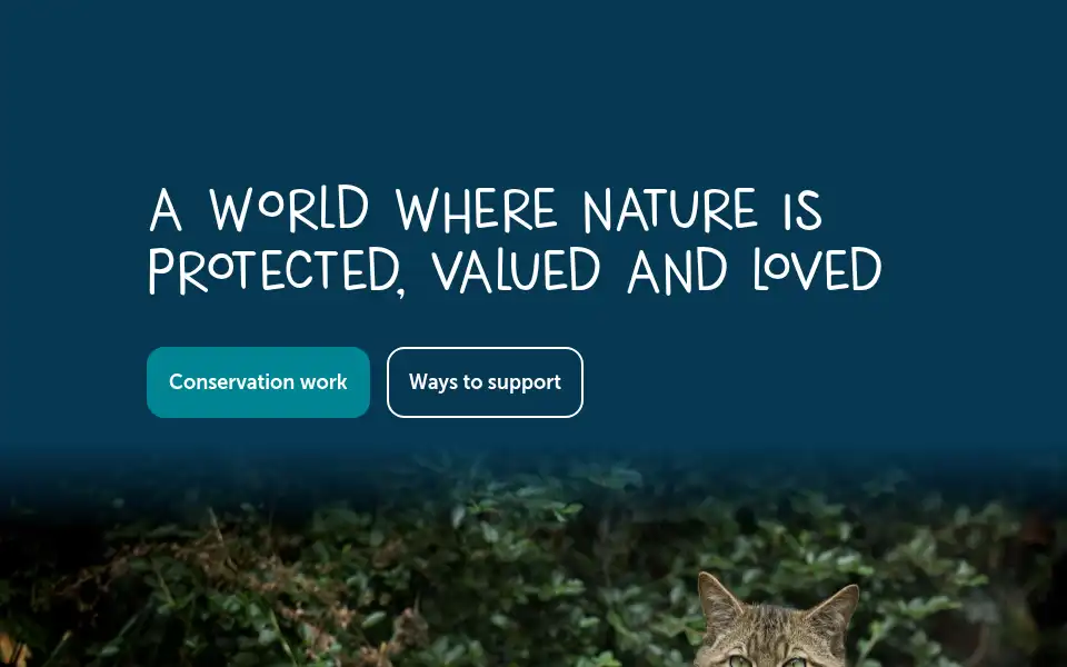 Screenshot of rzss.org.uk