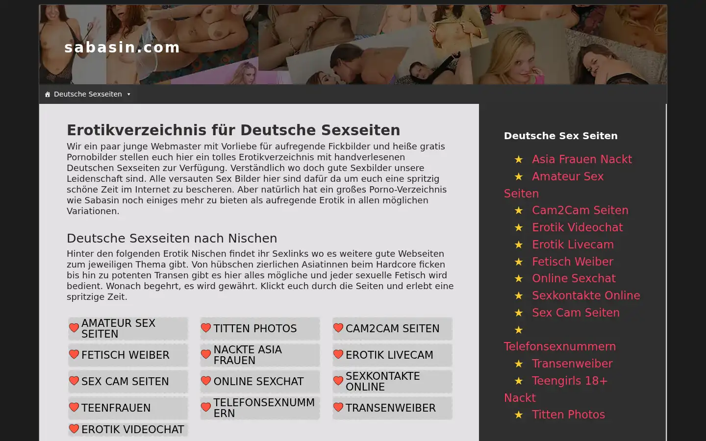 Screenshot of sabasin.com