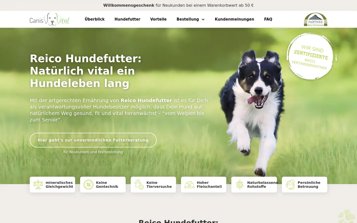 Screenshot of sabina-kijas.de