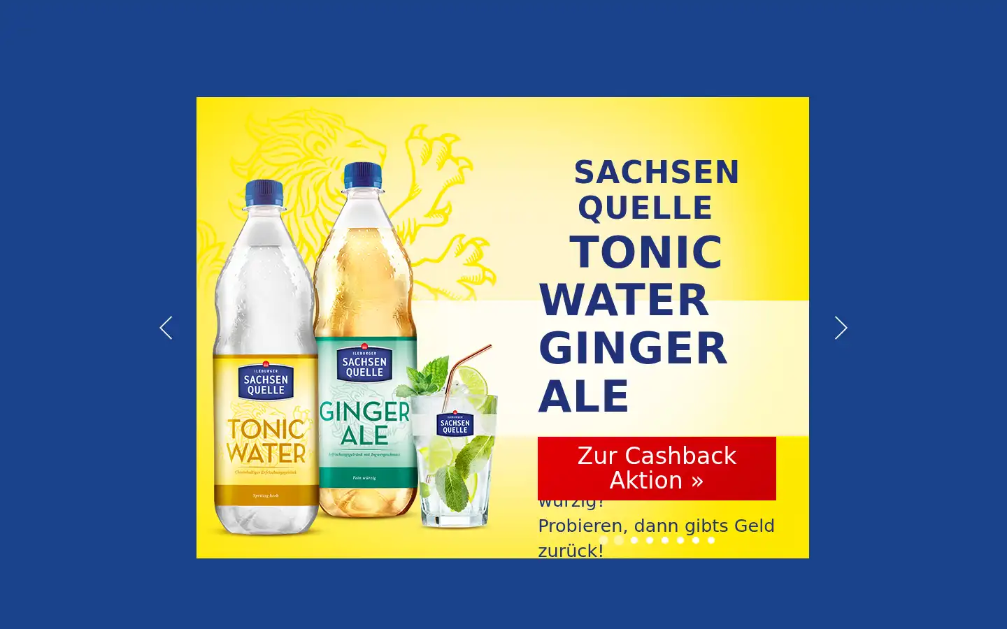 Screenshot of sachsenquelle.de
