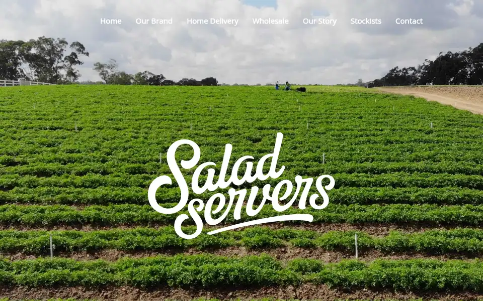 Screenshot of saladservers.com.au