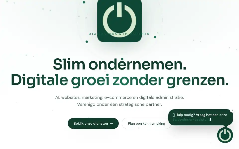 Screenshot of saleswinner.be